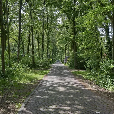 Vakantiehuis Brabants Licht *